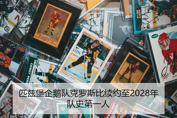 匹兹堡企鹅队克罗斯比续约至2028年队史第一人