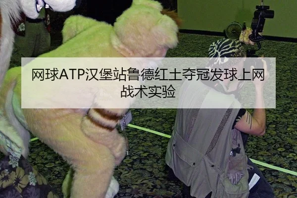 wang-qiu-han-bao-zhan-lu-de-hong-tu-duo-guan-fa-qiu-shang-wang-zhan-shu-shi-yan-3-855.jpg